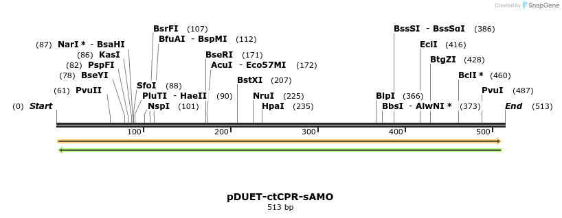 25818_map
