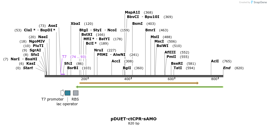 25819_map