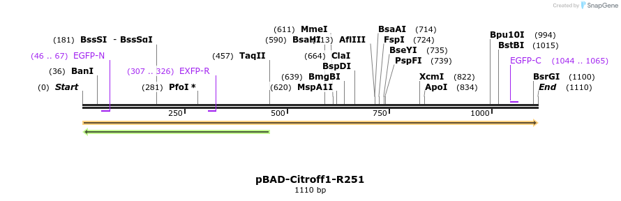 258202_map