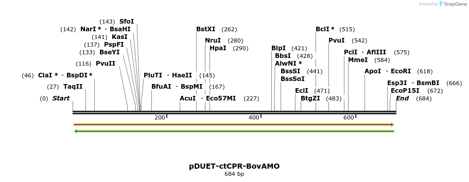 25821_map