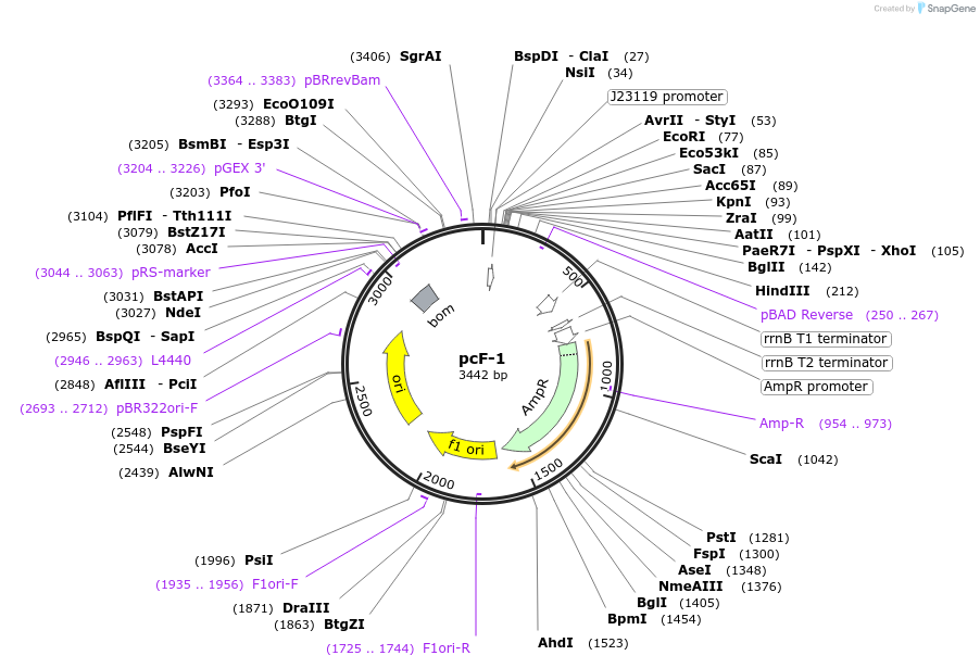 258212_map