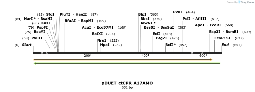 25825_map