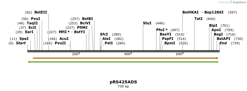 25831_map