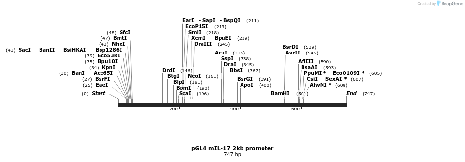 25835_map