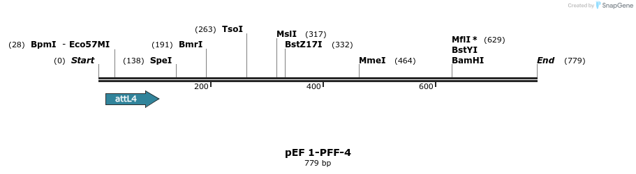 25843_map