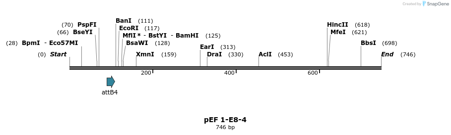 25848_map