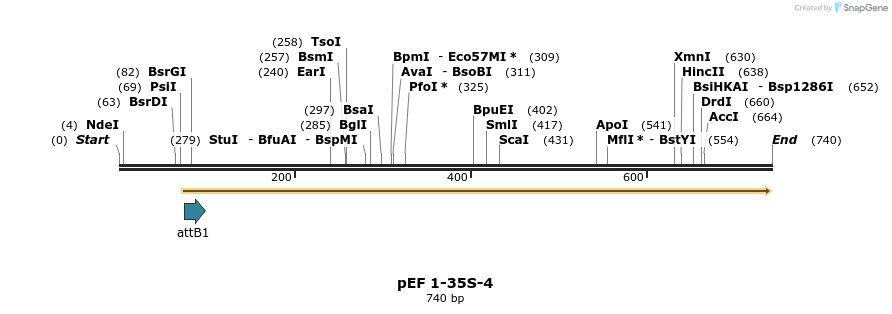 25849_map