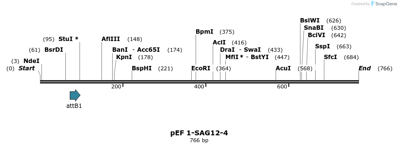 25850_map