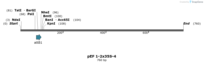 25851_map