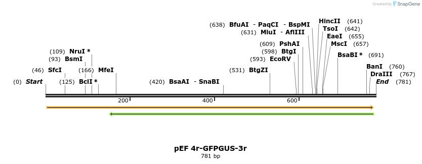 25854_map
