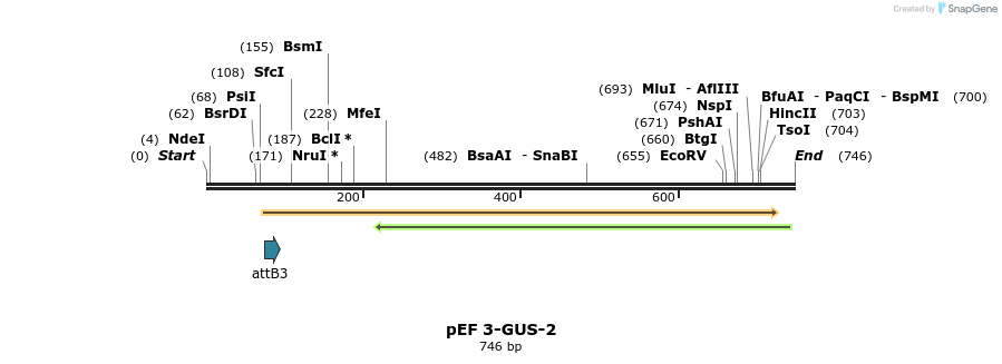 25860_map