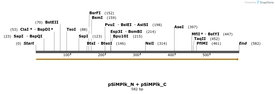 258608_map