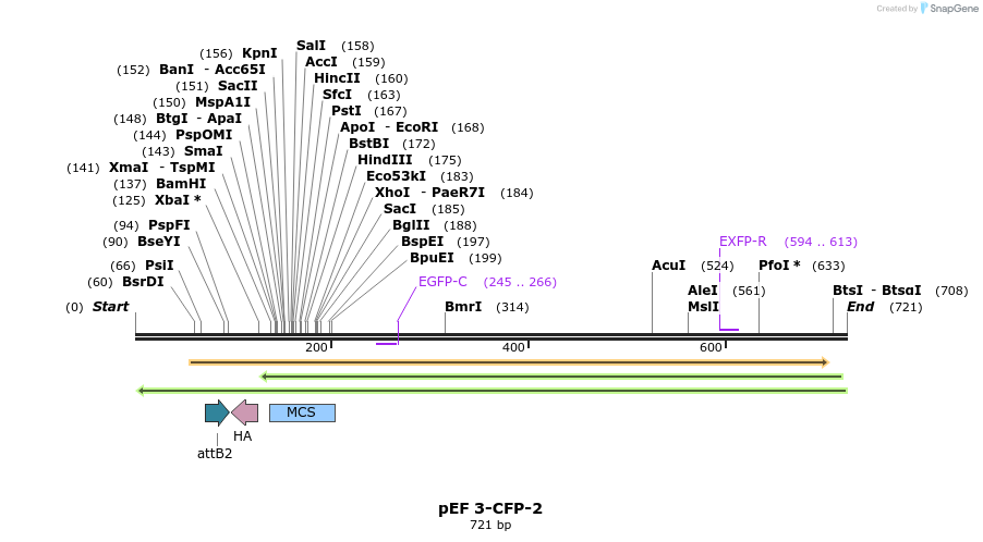25861_map
