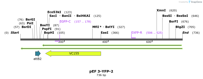 25862_map