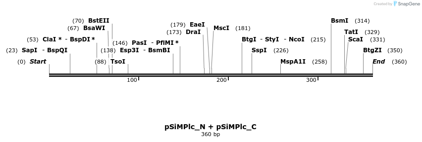 258620_map