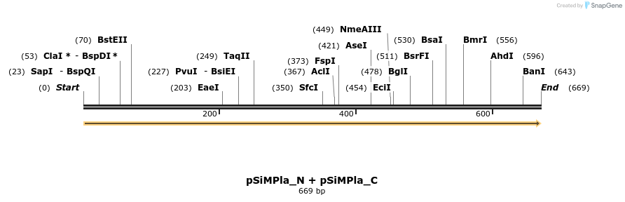 258621_map