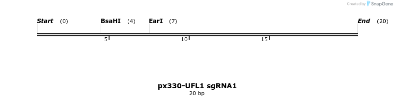 258825_map