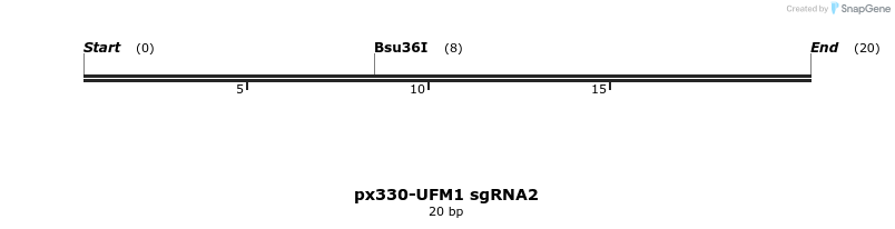258828_map