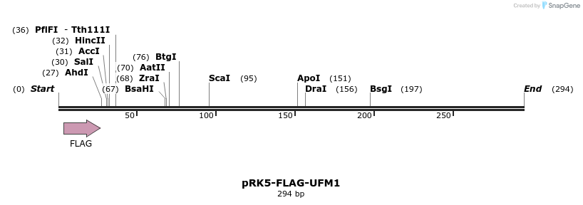 258831_map