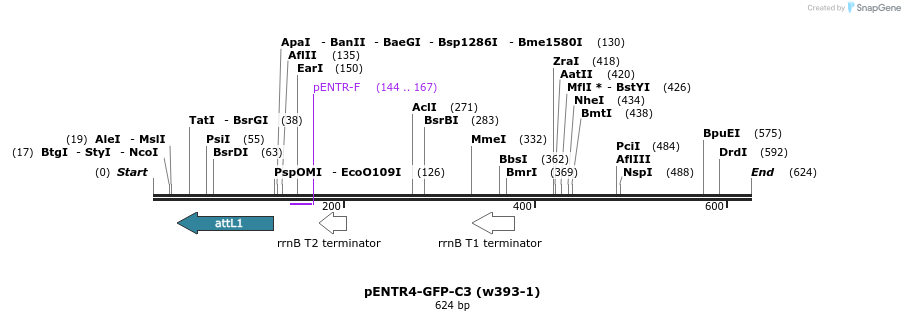 25891_map