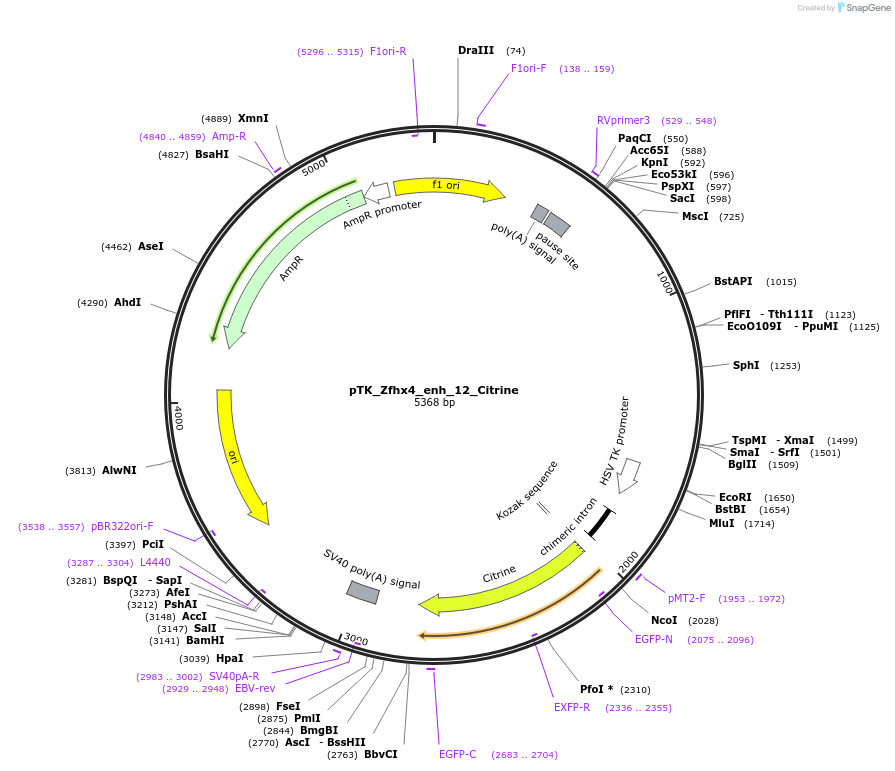 259009_map