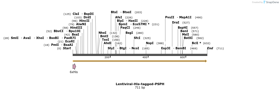259095_map