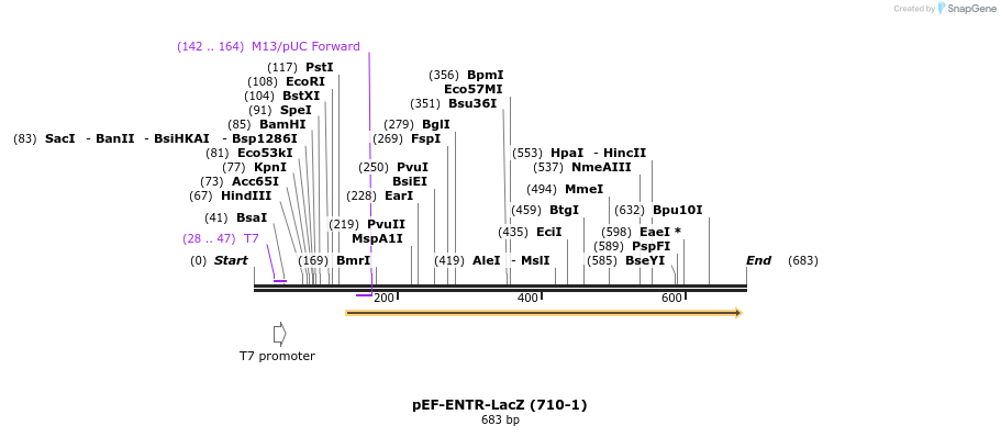 25911_map