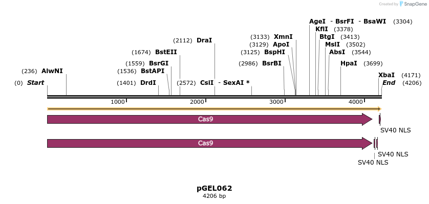259119_map