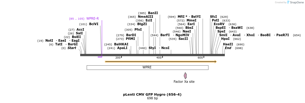 25915_map