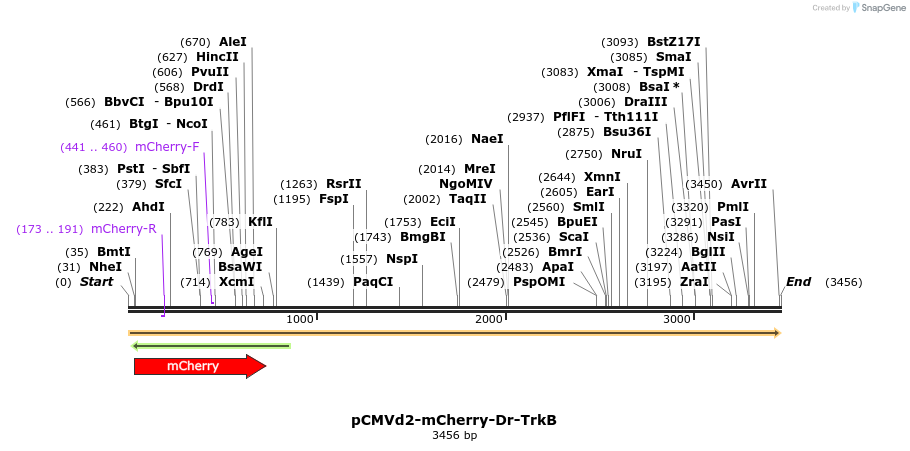 259247_map