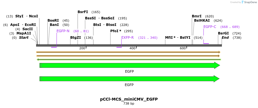 259304_map