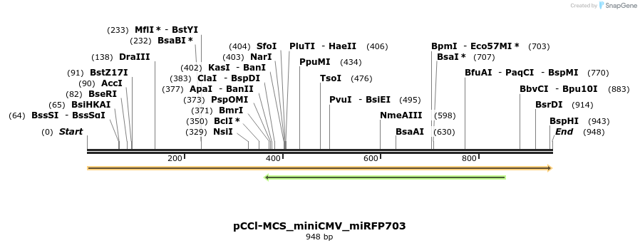 259305_map