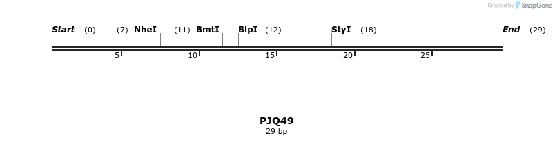 259381_map