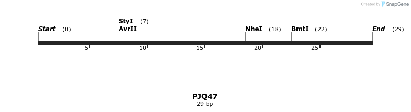 259383_map