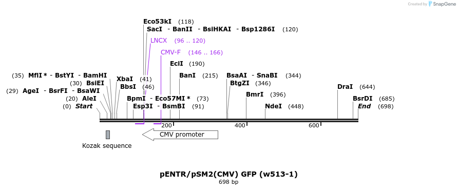 25962_map