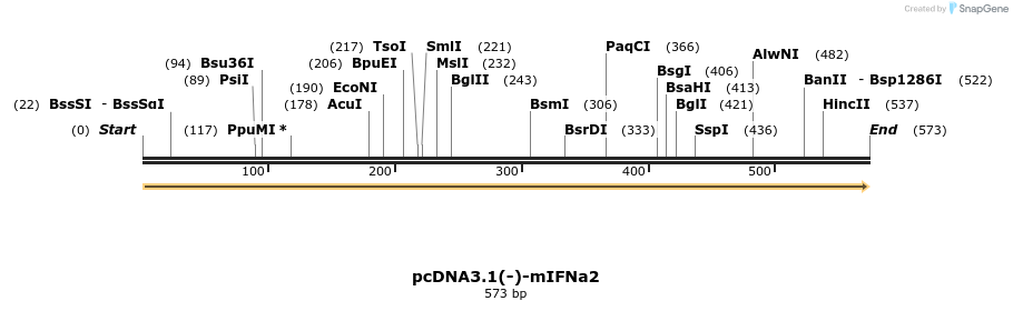 259737_map