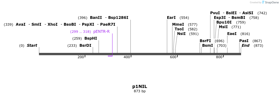 25976_map