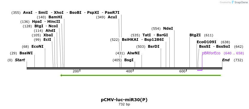 25979_map