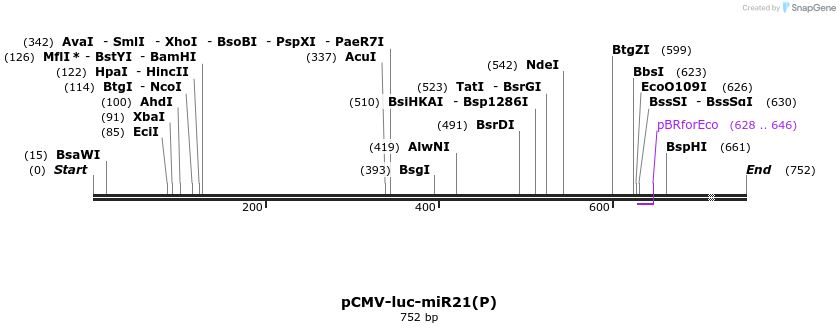 25980_map