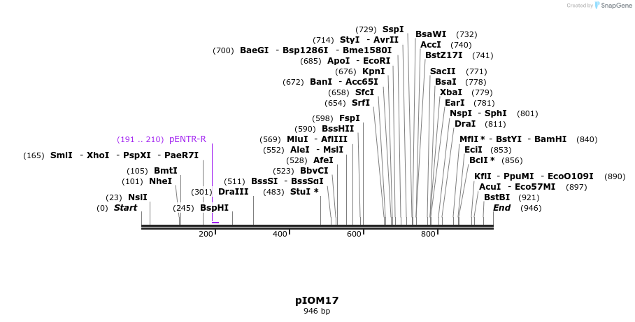 25982_map