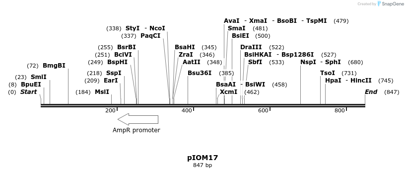 25983_map