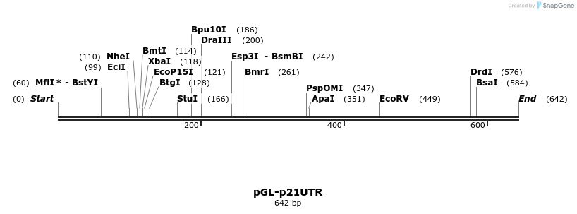 25984_map