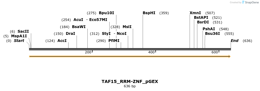 259848_map