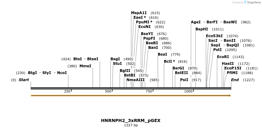 259856_map
