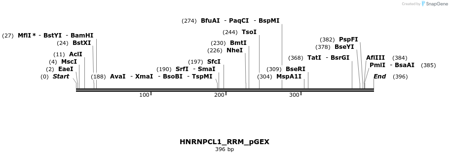 259858_map