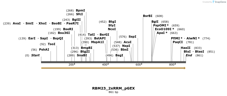 259862_map