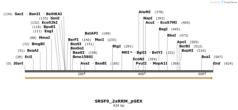 259866_map