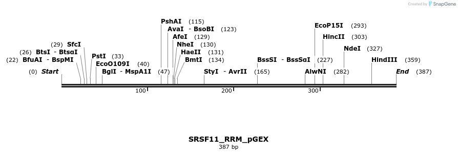 259868_map