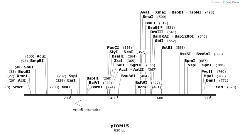 25987_map