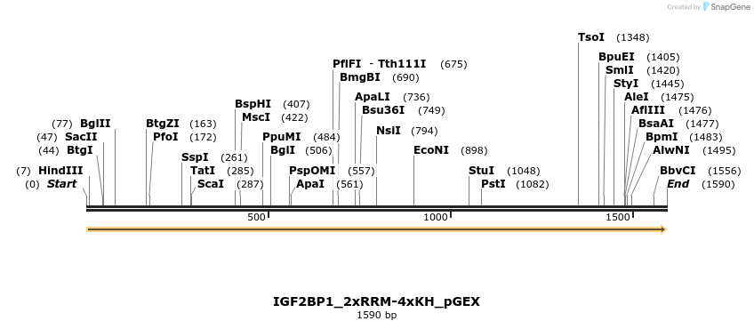 259870_map